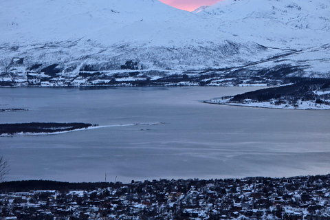 Tromsø: Fjellheisen Local Guided Hike