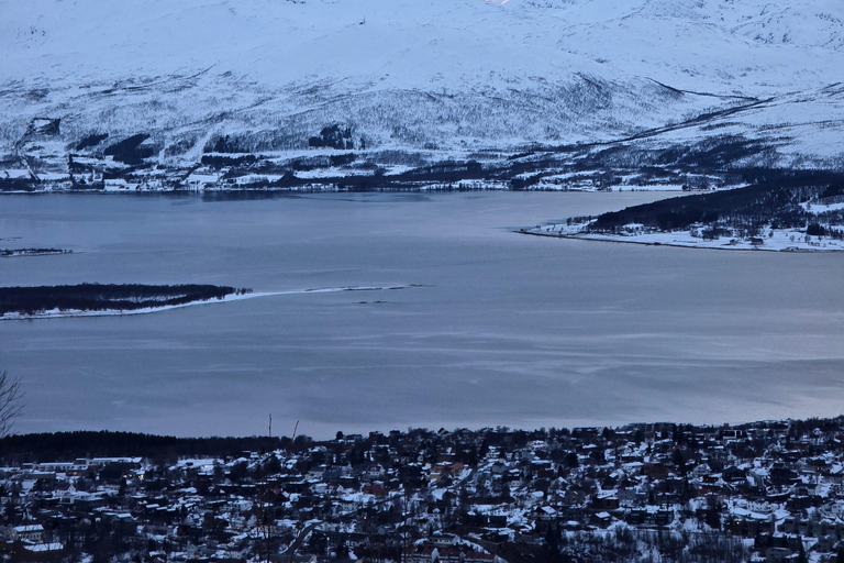 Tromsø: Fjellheisen Local Guided Hike