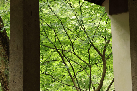 Hangzhou Half-Day: Pagoda, Bamboo Grove, and Old Street Tour
