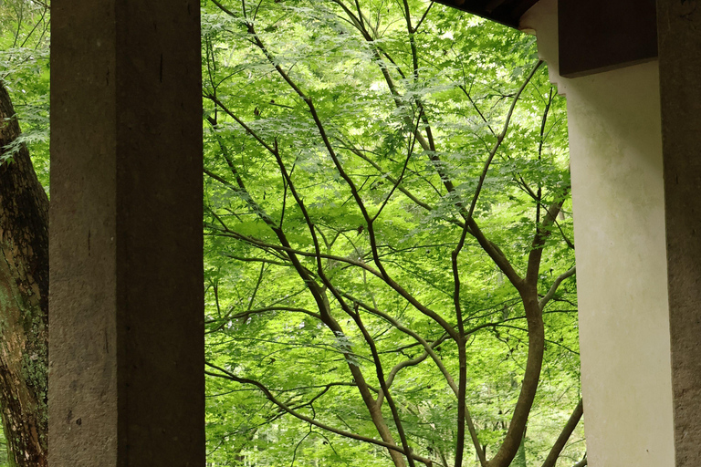 Hangzhou Half-Day: Pagoda, Bamboo Grove, and Old Street Tour