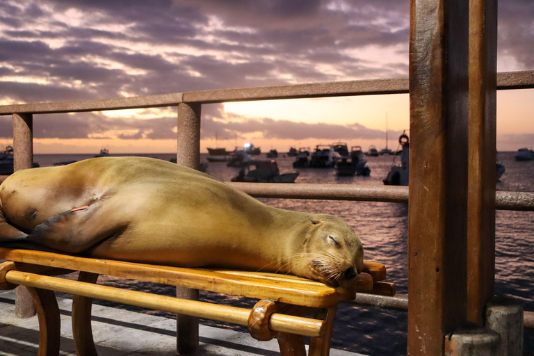 San Cristobal: 360 Island Tour with Snorkeling