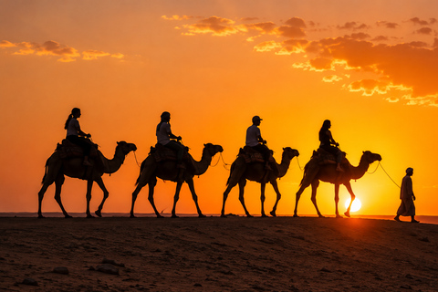 Dakhla: Sunset Camel Ride with Mint Tea and Photos