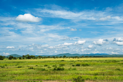 From Zanzibar: Best Day Safari Mikumi with flights and lunch