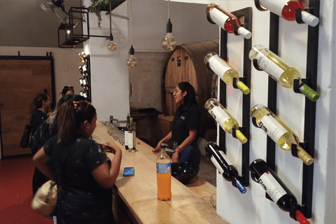 Full-day tour to Cafayate, Winery Visit and Wine Tasting