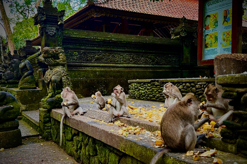 Ubud: Monkey Forest, Cretya Pool & Zipline Shared Tour Private Tour with Hotel Transfer - No Tickets