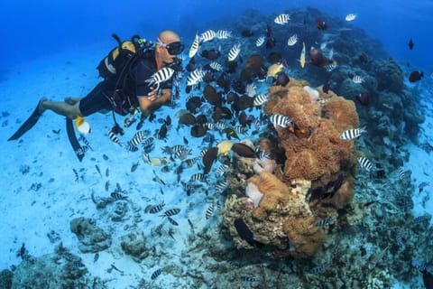 Tahiti : initiation à la plongée sous-marine pour débutants