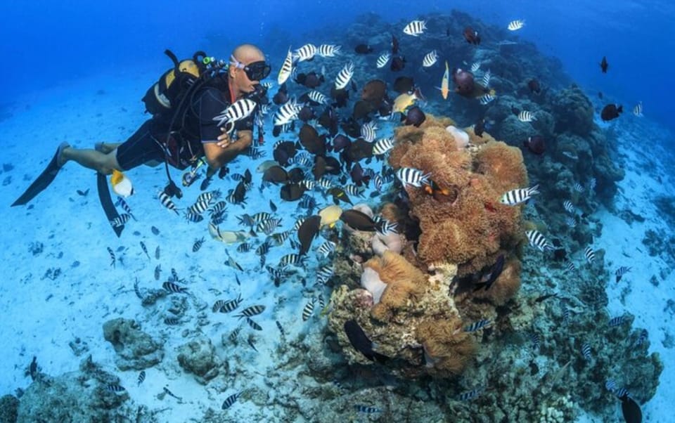 Tahiti : initiation à la plongée sous-marine pour débutants