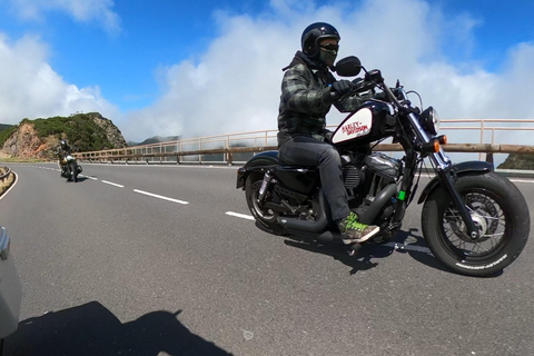 Alquiler de Harley Davidson en La PalmaAlquiler de Harley Davidson Softail en La Palma