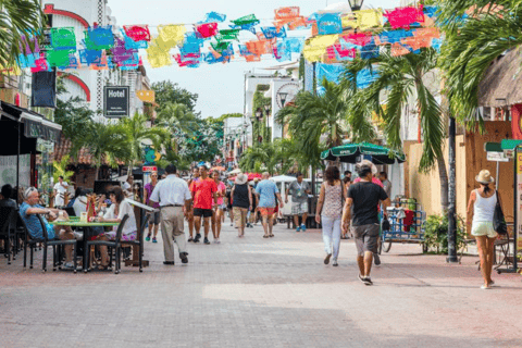 Tulum Guided Trip, Cenote Swim, Lunch & Playa del Carmen Bilingual Tour in Spanish and English