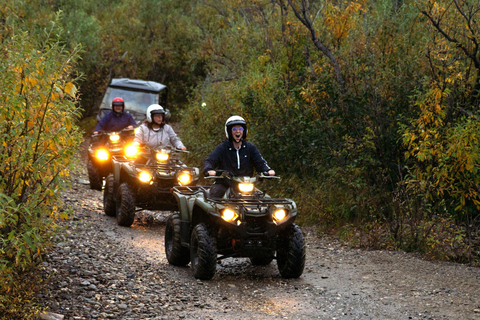 Denali ATV Wilderness Adventure - Guided ATV Tour Enclosed Side by Side ATV - 2 passengers