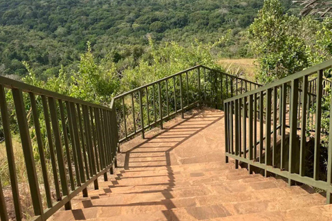 Diani: Guided day trip to Shimba Hills Reserve with lunch