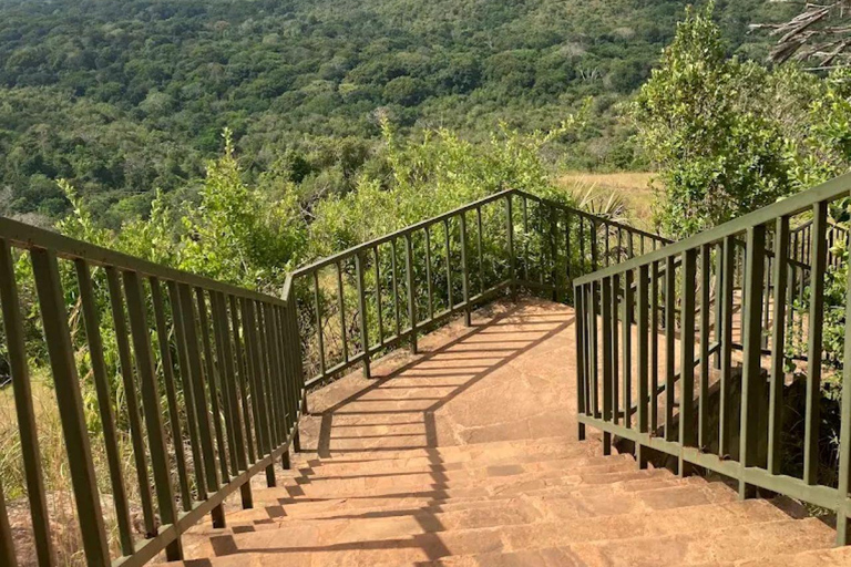 Diani: Guided day trip to Shimba Hills Reserve with lunch