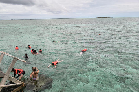 Cebu Nalusuan Island & Marine Sanctuary | Joiners Tour Nalusuan Island Tour
