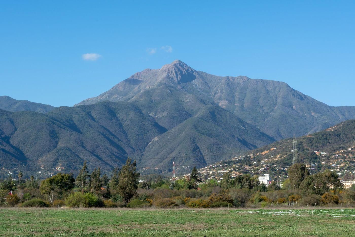 Santiago: La Campana Nationalpark & Olmué Private Tour