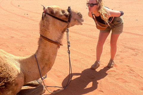 Wadi Rum: 2-Day Southern Desert Tour, Camel & Stargazing