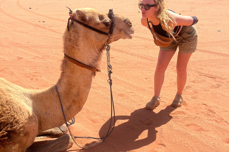 Wadi Rum: 2-Day Southern Desert Tour, Camel & Stargazing