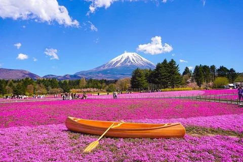 Depuis Tokyo : Excursion d'une journée au Mont Fuji avec Oshino Hakkai et téléphérique
