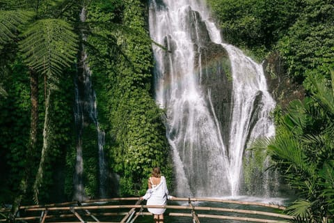 Private: Banyumala waterfall, Temple, and Rice Terrace tour