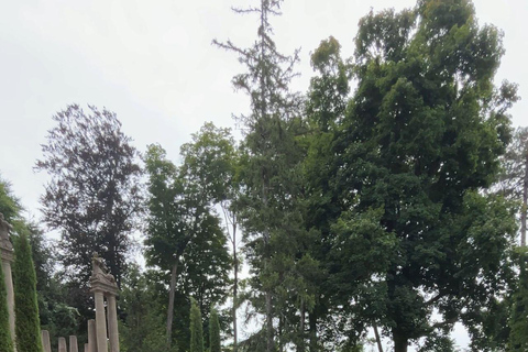 Day Trip from Boston: Guided Nature Walk at Crane Estate