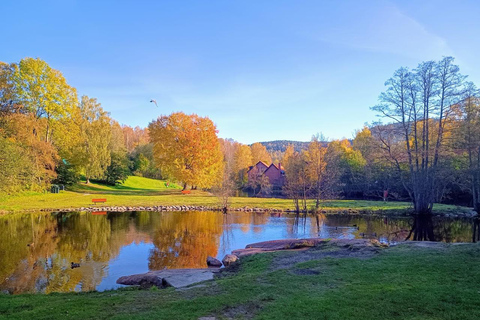 Oslo: Privéwandeling langs de AkerselvaOslo: Privéwandeling langs de rivier Akerselva