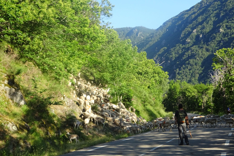 Excursion d&#039;une journée depuis Nîmes vers les Cévennes, montagnes classées au patrimoine mondial de l&#039;UNESCOExcursion d&#039;une journée dans les terres préservées des Cévennes