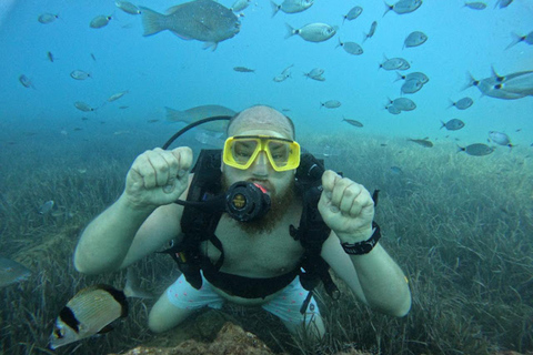 Lado: Buceo y Museo Subacuático con traslado al hotel