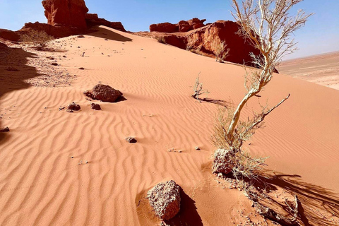 4 jours à Gobi en un temps record