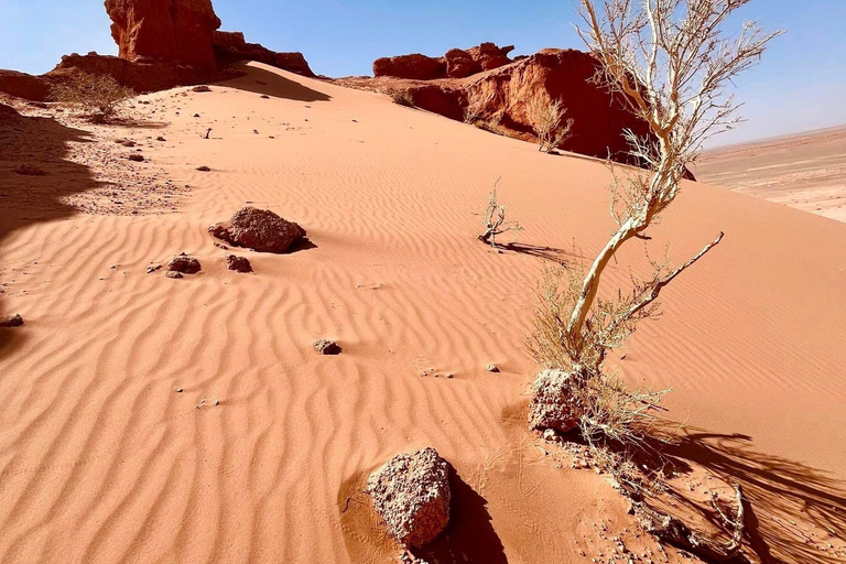 4 jours à Gobi en un temps record