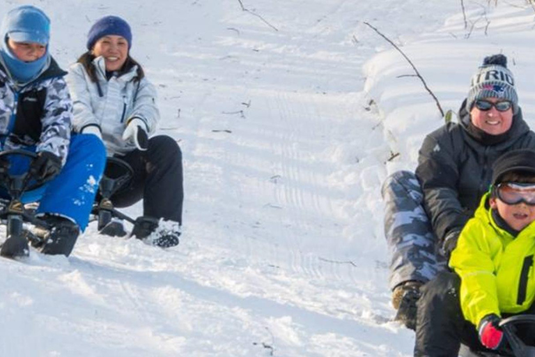 Sapporo: Snow Park, Snowmobile, and BBQ Experience D.Snowmobile package(90 minutes)