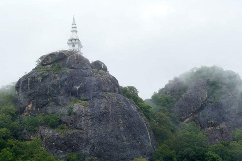 Dimbulagala Eco Trekking and Village Tour From Polonnaruwa