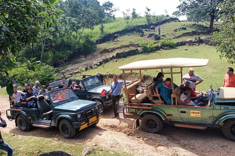 Excursion d'une journée au fort de Kumbhalgarh et safari animalier depuis Udaipur