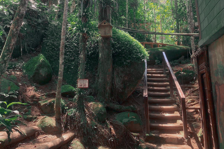 Paraty: Golden Route Guided Hike with Historical Stories Paraty: Golden Route Guided Hike with Historical Stories