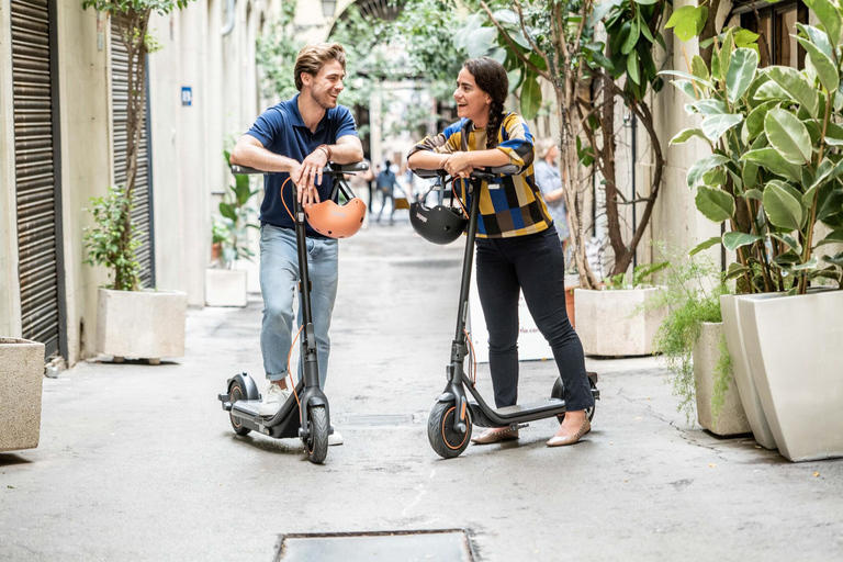 Nizza: tour panoramico in scooter elettrico di 1h301h30