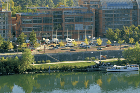 Lione: Trasferimento privato e tour panoramico