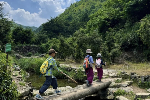 Shanghai: Zoumagang Hike Through Ancient Torreya Forest private tour option
