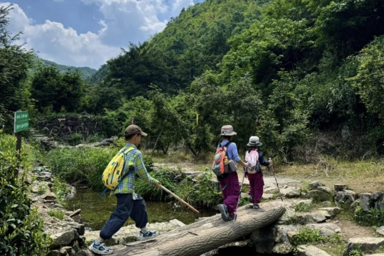 Shanghai: Zoumagang Hike Through Ancient Torreya Forest private tour option