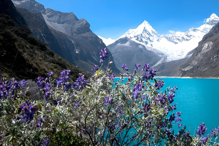 Da Lima:Tour di un giorno alla Laguna Paron con pasti e pernottamento in autobus - Huaraz