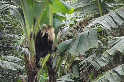 Monteverde: Roots of the Future Walk at Finca Lantana