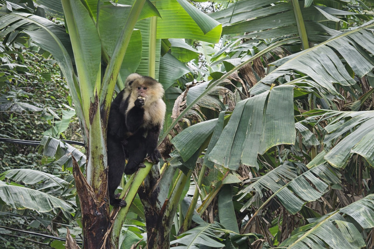 Monteverde: Roots of the Future Walk at Finca Lantana