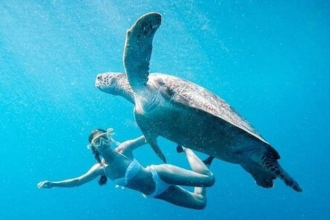 Gili Trawangan : Snorkel en grupo/compartido 3 islas Gili