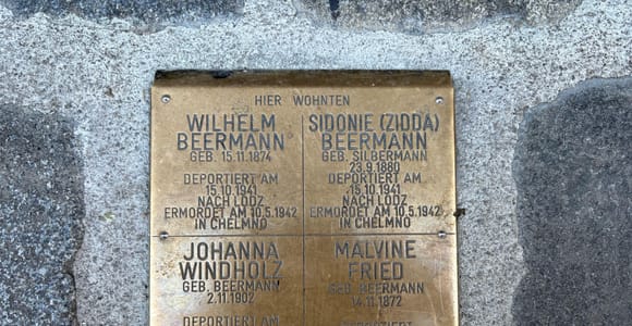 Vienna: Jewish History and Hitler's Rise Walking Tour