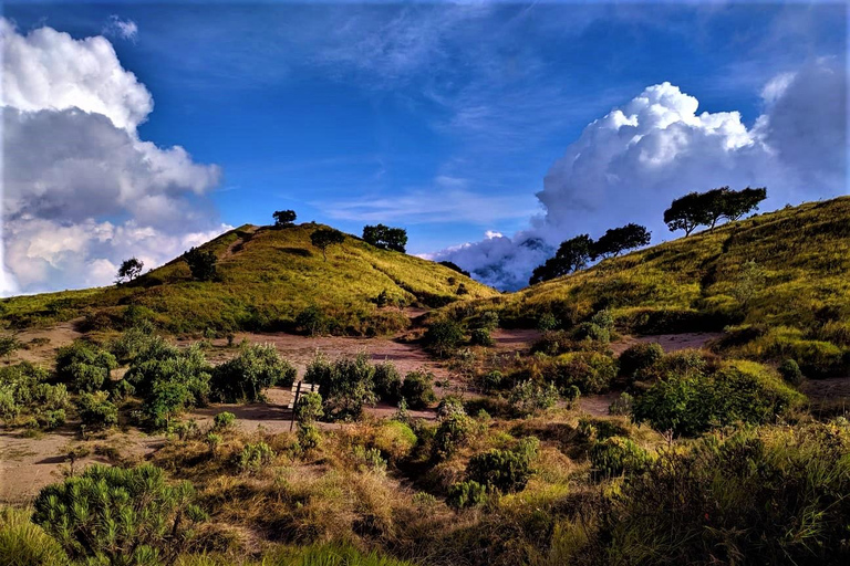 Von Yogyakarta aus: Berg Merbabu TageswanderungMount Merbabu Tageswanderung