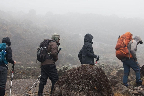 TANZANIA: 8-Day Mount Kilimanjaro Trek Lemosho Route