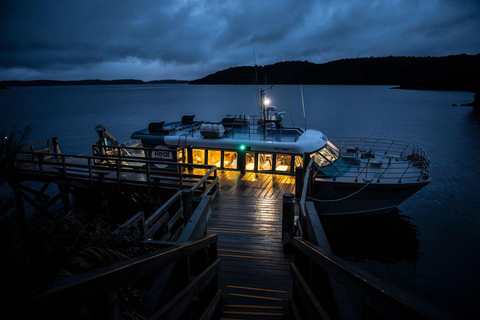 Stewart Island: Wild Kiwi Experiences Stewart Island: Wild Kiwi Encounter