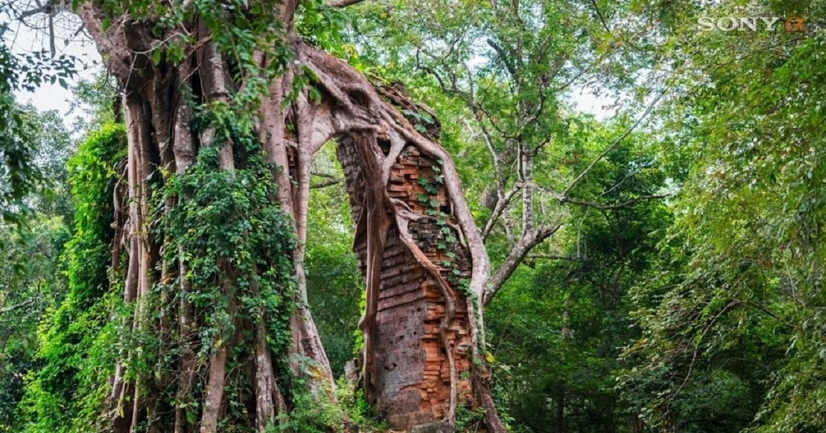 Tagestour nach Sambor Preikuk, Kuhak Nokor & Spider Market GetYourGuide