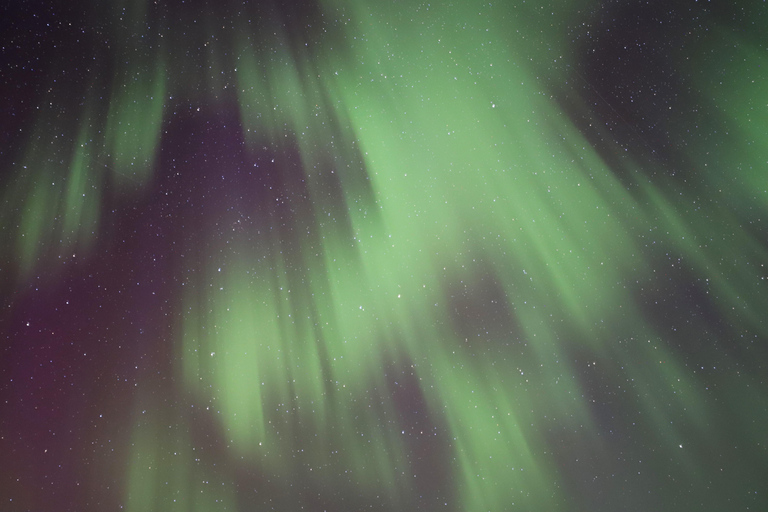 Rovaniemi: Aurora Hunting Photography Tour(98% Success Rate)