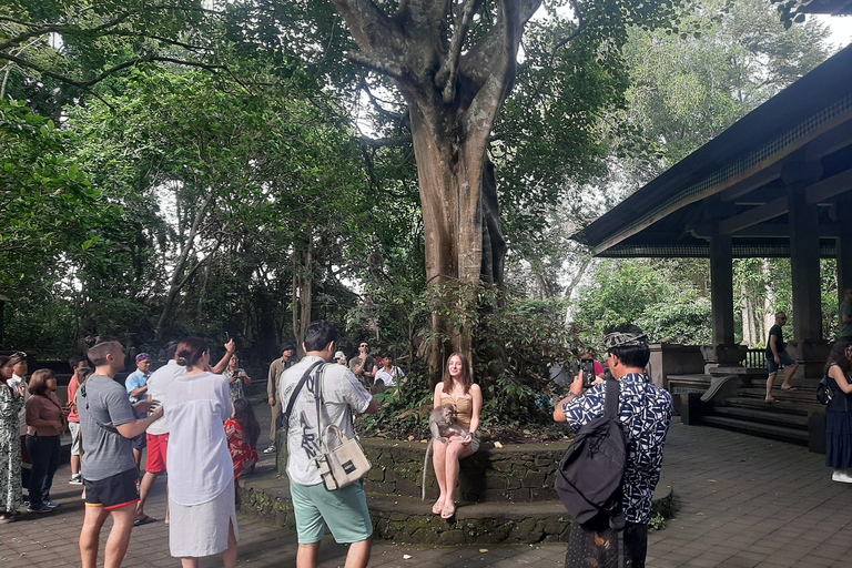 Ubud: Foresta di scimmie, terrazze di riso e cascateUbud: Foresta di scimmie, terrazza di riso e cascata