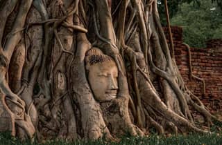 Ab Bangkok: Private, geführte UNESCO-Tagestour nach Ayutthaya
