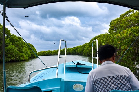 Negombo: Lagoon Boat Tour with hotel transfers & fruit snak