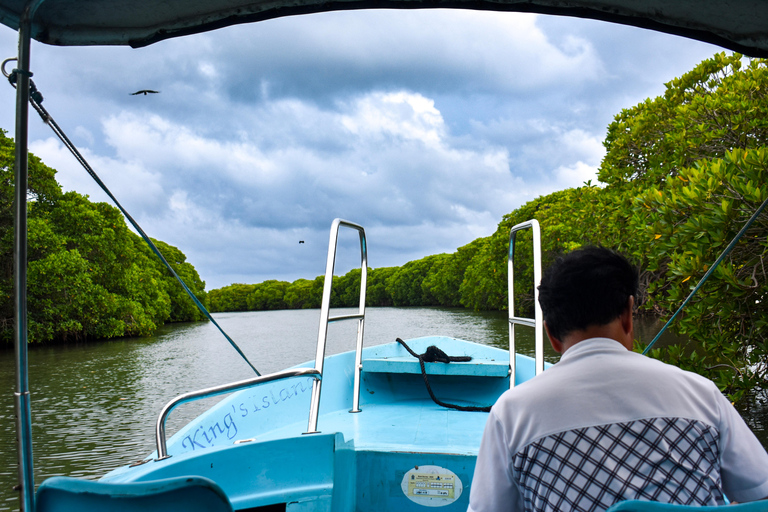 Negombo: Lagoon Boat Tour with hotel transfers & fruit snak